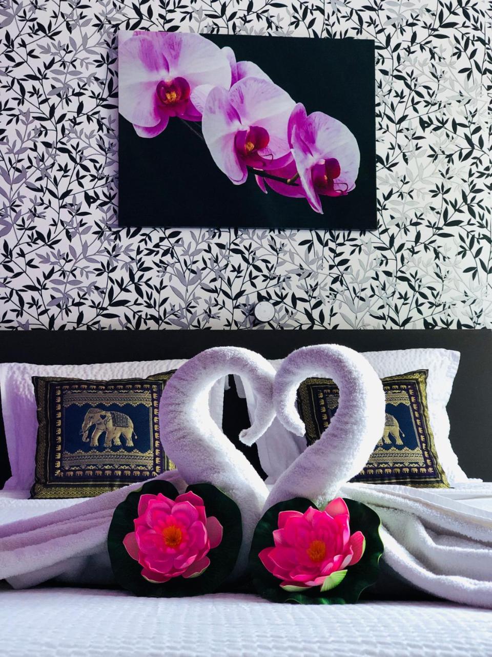 B&B Kookhai 克勒伊斯贝尔亨 外观 照片